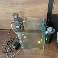 GEX30センチキューブ水槽アクアリスタ