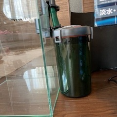 GEX30センチキューブ水槽アクアリスタの画像