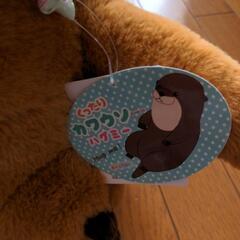 くったりカワウソ　ハグミーの画像