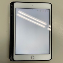 【極美品】iPad mini 7.9インチ 第5世代 Wi-Fi+Cellular 64GBの画像
