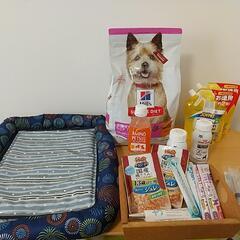 これからの季節に！【シニア犬用 夏対策グッズ(フード、飲料、消臭...