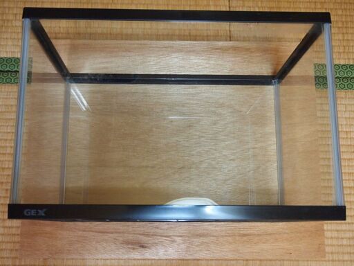 レッドビーシュリンプ育てて見ませんか！（破格で中古飼育セットと生体付き）