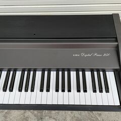 電子ピアノ KAWAI Digital Piano 250 88鍵 河合 ピアノ デジタルの画像