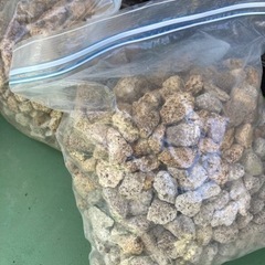 軽石