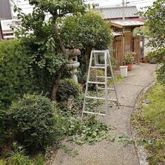 庭の手入れ