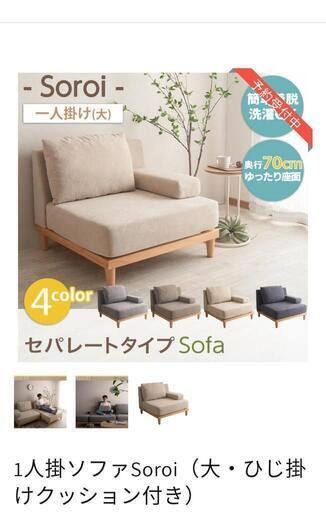 人気商品(現在予約販売)商品状態良好！一人掛けソファ·オットマン