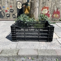 【園芸カゴ】使い道色々・重ねられます！１ケ220円（税込）