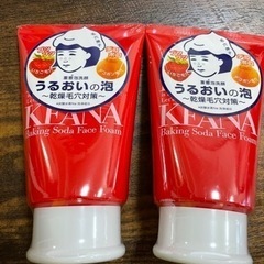 毛穴撫子　重曹泡洗顔　２個　石澤研究所