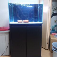 オーバーフロー水槽60ワイド