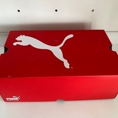 プーマ×フェラーリコラボ ドライビングシューズ　SELEZOIN...