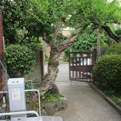 上げます。