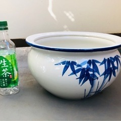 睡蓮鉢、メルカリ飼育　値下げしました
