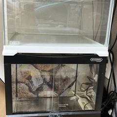 エキゾテラ、ヒュドラ爬虫類飼育ガラスケージ ２個セット