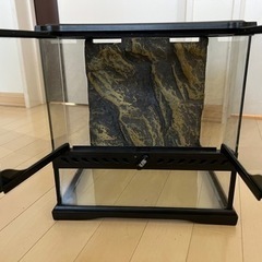 グラステラリウム 3030 エキゾテラ ジェックス 中古の画像