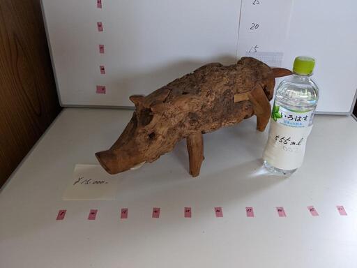 木の株　イノシシ