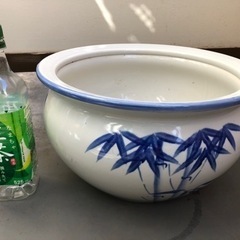 睡蓮鉢、メダカ、水生植物に　値下げしました