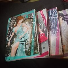漫画　彼女の肌が忘れない　全４巻