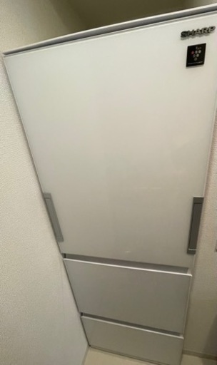 シャープ　冷蔵庫　両開き