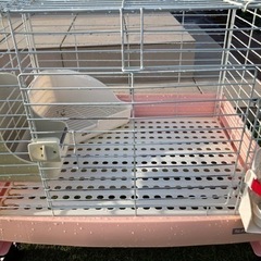 うさぎゲージ