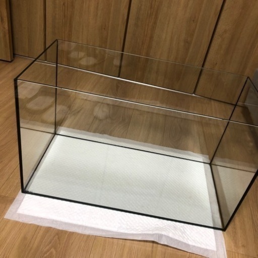 決まりました⭐︎GEXブラック水槽