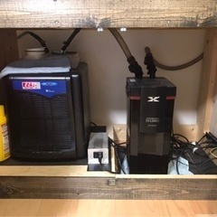 ☆水槽台☆クーラー☆外部フィルター☆その他セットで☆