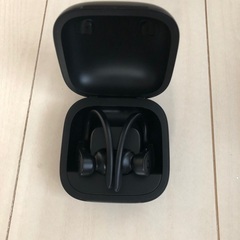 Powerbeats Pro ワイヤレスイヤホン　付属品ありの画像