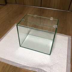 決まりました⭐︎GEXミニガラス水槽