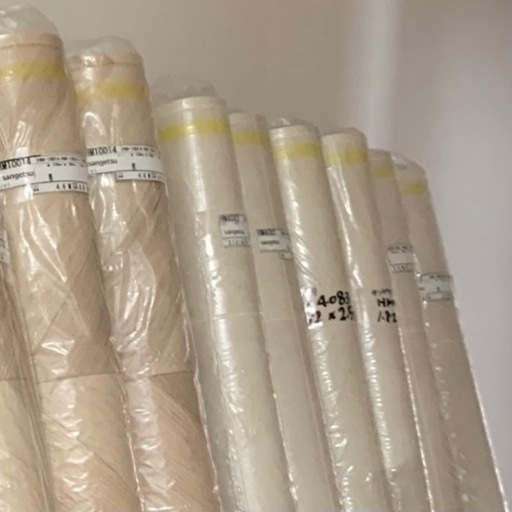 ドラゴン様 CF クッションフロア 壁紙 セット