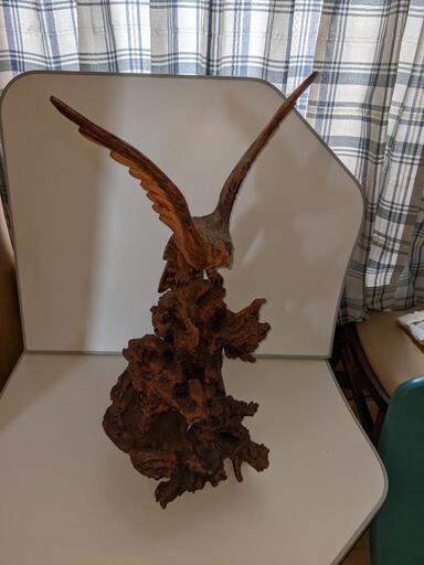 鷹　木の株