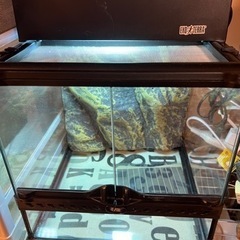 グラステラリウム 3030 エキゾテラ ジェックス 中古の画像