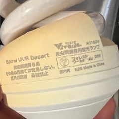 グラステラリウム 3030 エキゾテラ ジェックス 中古の画像