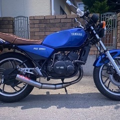 rz250 