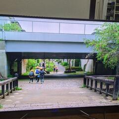 55型　液晶テレビ　2019年　FL-55U4110