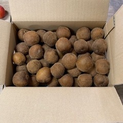 【在庫切れ】☆★☆ 和歌山産キウイフルーツ　ベビーキウイ 小粒2...