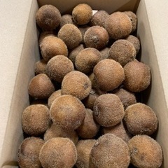 【在庫切れ】☆★☆ 和歌山産キウイフルーツ　ベビーキウイ 小粒2.5kg【食べ頃】☆★☆の画像