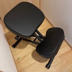 CO-Z バランスチェア バックボーンチェア