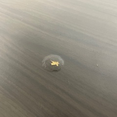 折りたたみテーブルの画像