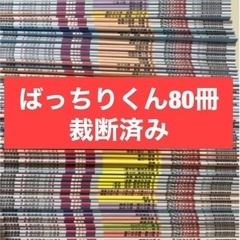 理英会　はっちりくんドリル　裁断済み　全80冊 単元別ばっちりくんドリル 全巻セット｜小学校受験 合格対策問題