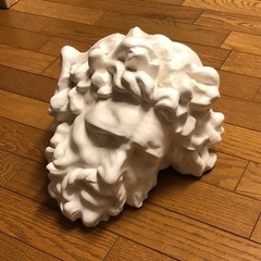 ラオコーンの首　石膏像