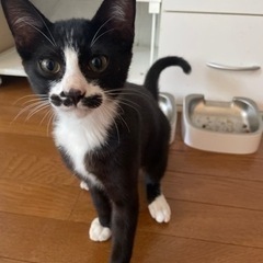 里親さん決まりました🍀