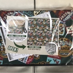 クーラーボックス　折りたたみ式　ミッキー