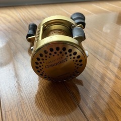 カルカッタコンクエスト300の画像
