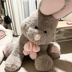 コストコバニー