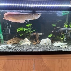 水槽一式の画像