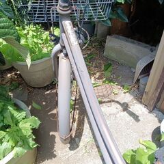 普通の自転車、あげます