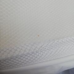 CAPTAIN STAG 保冷バックの画像