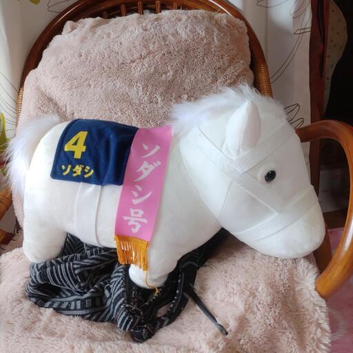 競争馬ソダシ