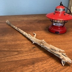 21.鬼に金棒^ ^ 鋭い木の芽が魅力な　流木…天然物、インテリア、オブジェの画像