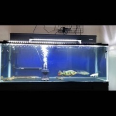 コトブキ1200水槽（規格水槽）上部フィルター水槽台セットの画像