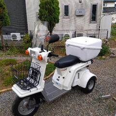 ジャイロｘミニカー登録